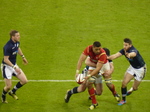 20160213 Rugby Wales vs Scotland
